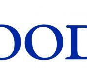 Declassate le azioni di Sony a "livello spazzatura" da Moody&apos;s