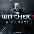 The Witcher 3: Wild Hunt forse non girerà a 1080P