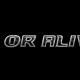 Dead or Alive 5 Last Round in arrivo su Next-Gen