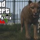 Una compilation di trip di Peyote in GTA V