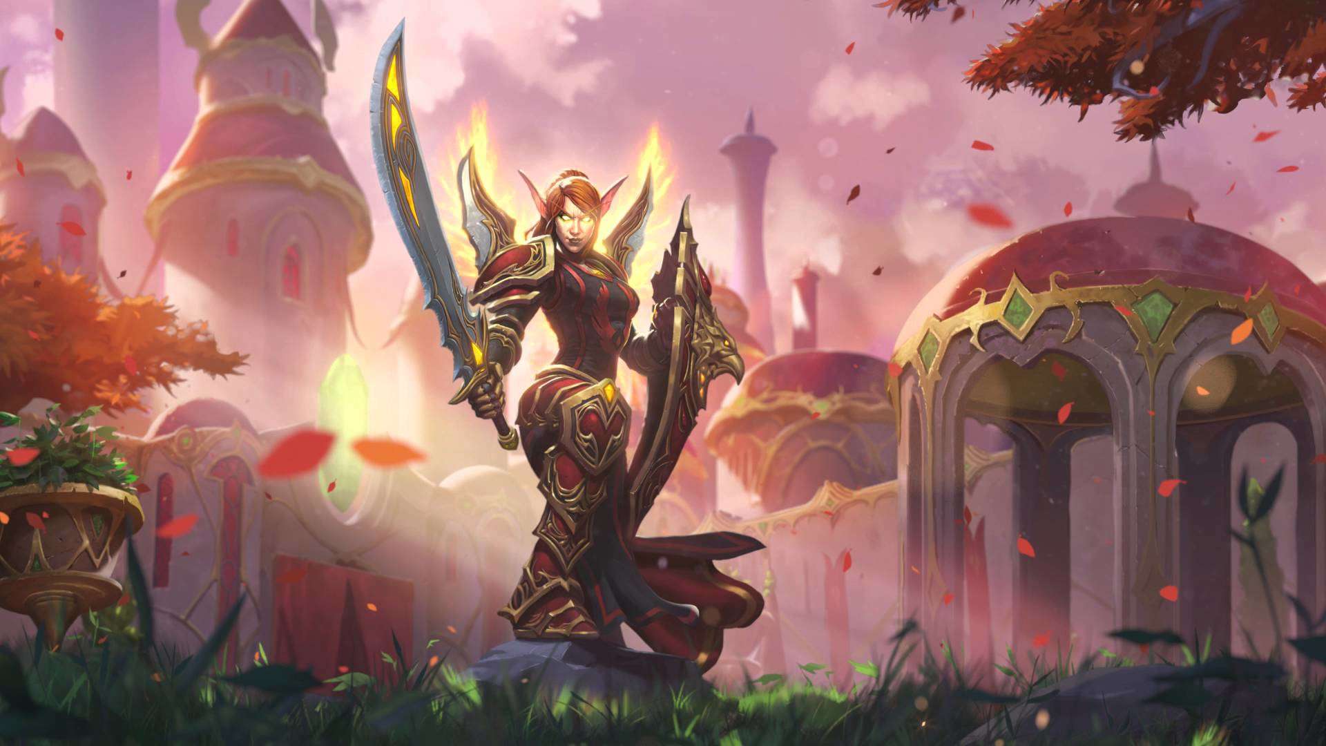 hearthstone pala skin