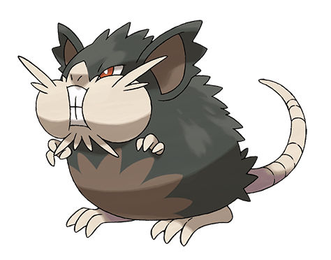 Alolan_Raticate_RGB_72dpi